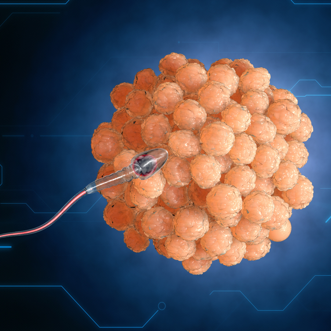 Thinking About Freezing Your Eggs? Here's What You Need to Know