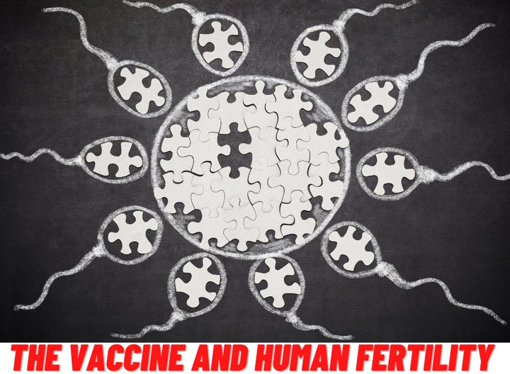 Can there be a new generation after Covid-19? The Coronavirus,     The Vaccine and Human Fertility. | Secrets Of Tea