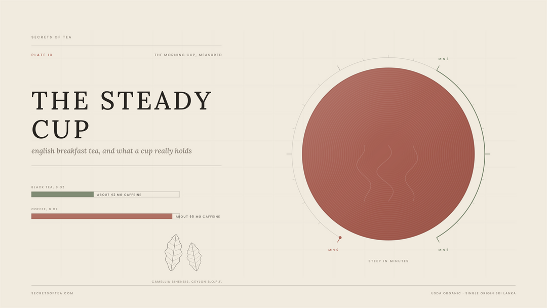 English breakfast tea benefits and caffeine, illustrated guide