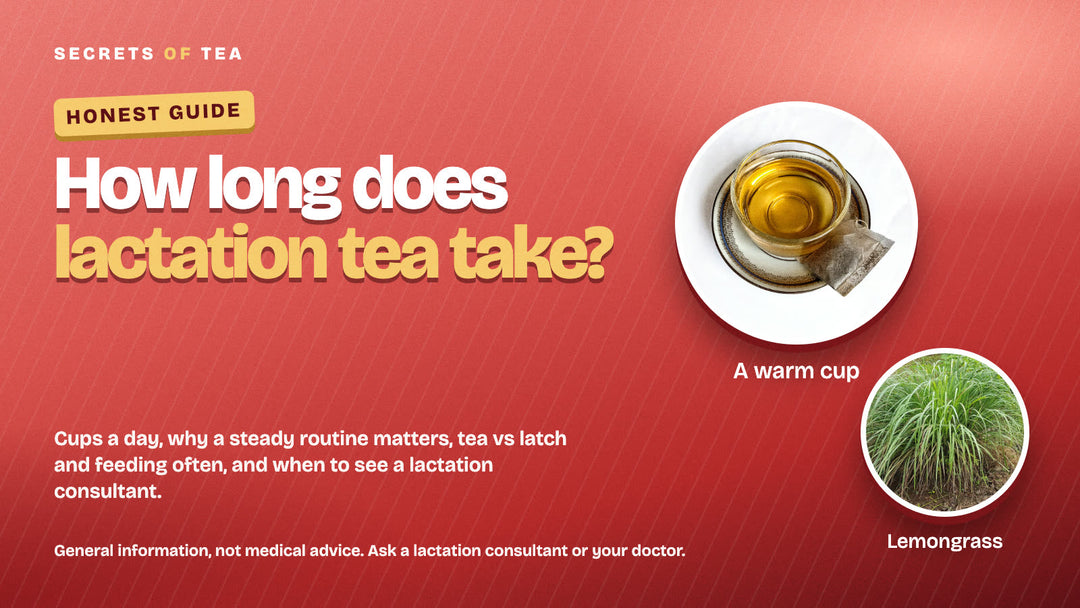Warm tea in a glass cup and lemongrass plant, guide to how long lactation tea takes to work
