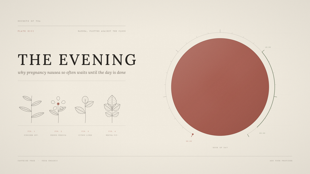 Twenty four hour dial showing why pregnancy nausea often peaks in the evening