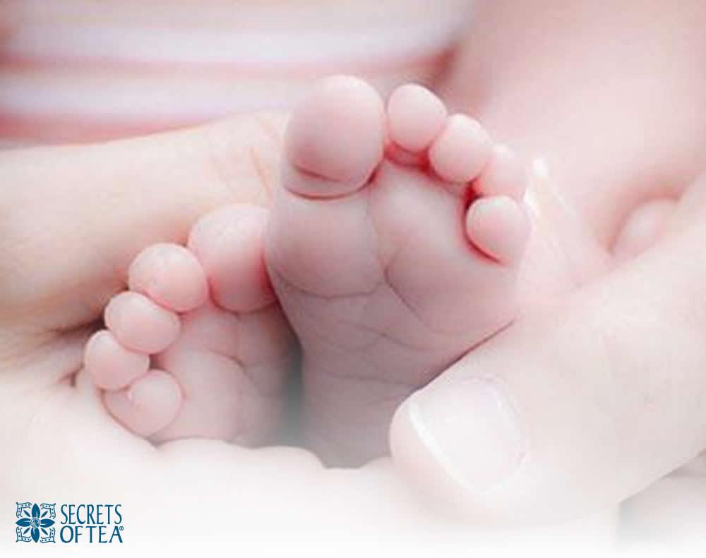 Read the ingredients & Know the truth | Secrets Of Tea