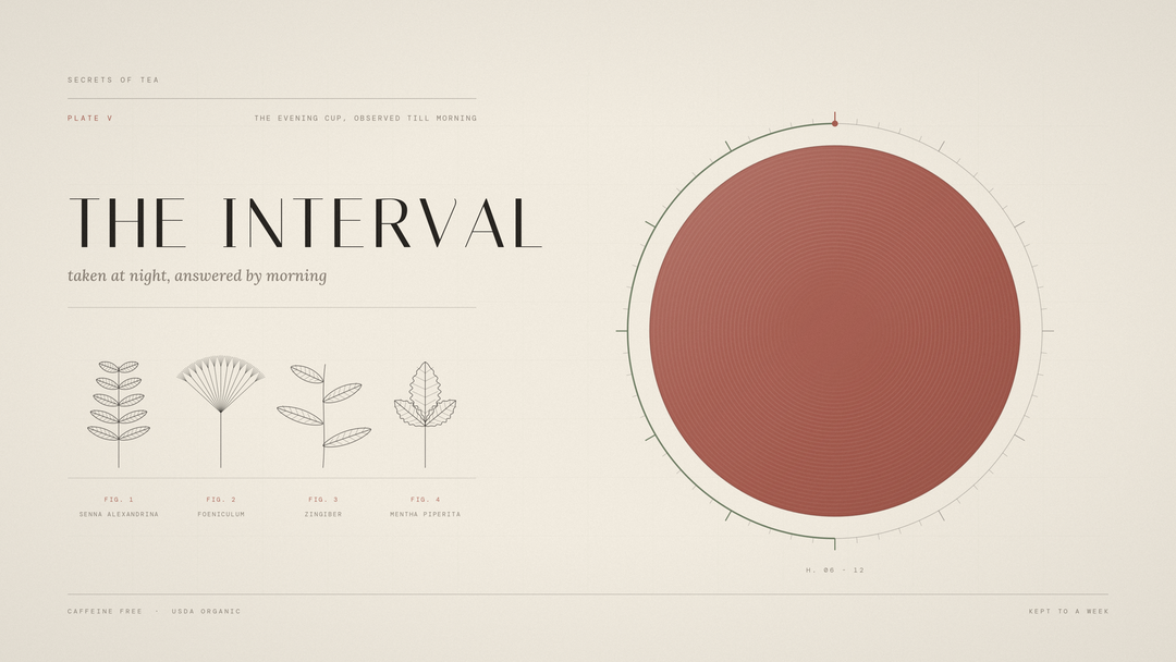 Senna tea timing shown as a twelve hour dial with pressed herb specimens