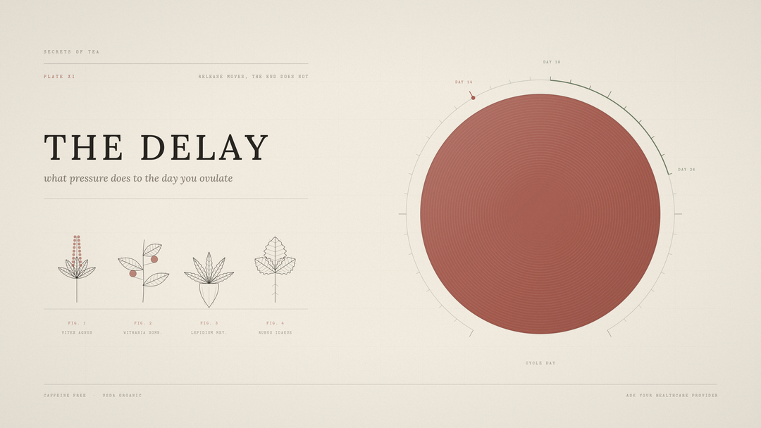 Cycle day dial showing ovulation shifting from day 14 to days 18 to 26 under stress