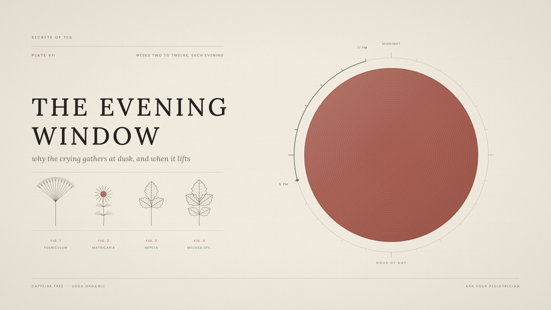 Evening window chart of the baby witching hour, 5pm to 11pm, with calming herbs