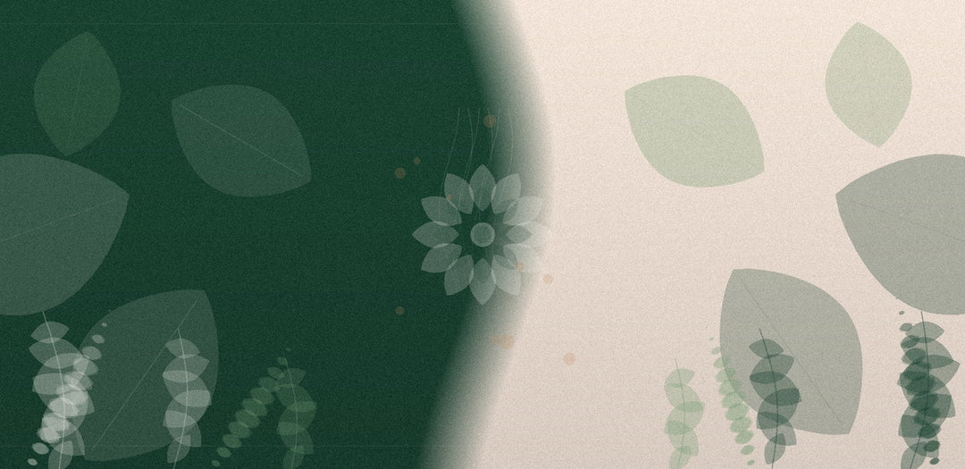 Value Bundles & Sets — Secrets of Tea botanical pattern