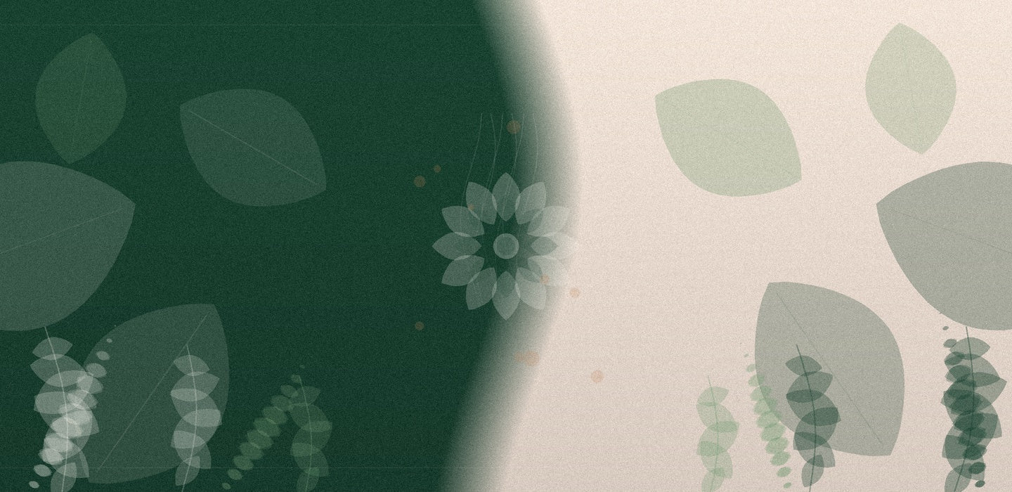 Value Bundles & Sets — Secrets of Tea botanical pattern