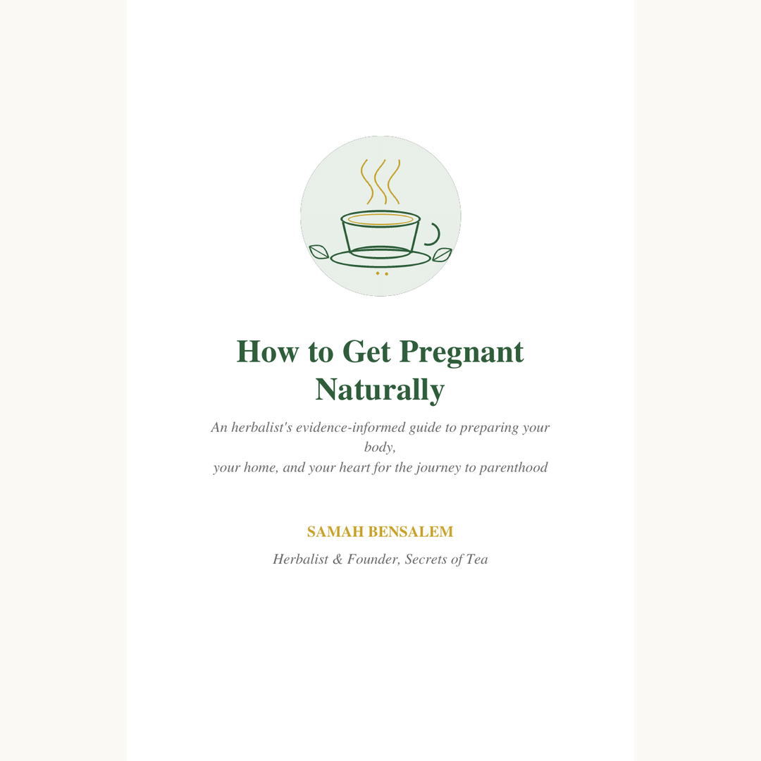 How to Get Pregnant Naturally by Samah Bensalem - 48-page eBook cover