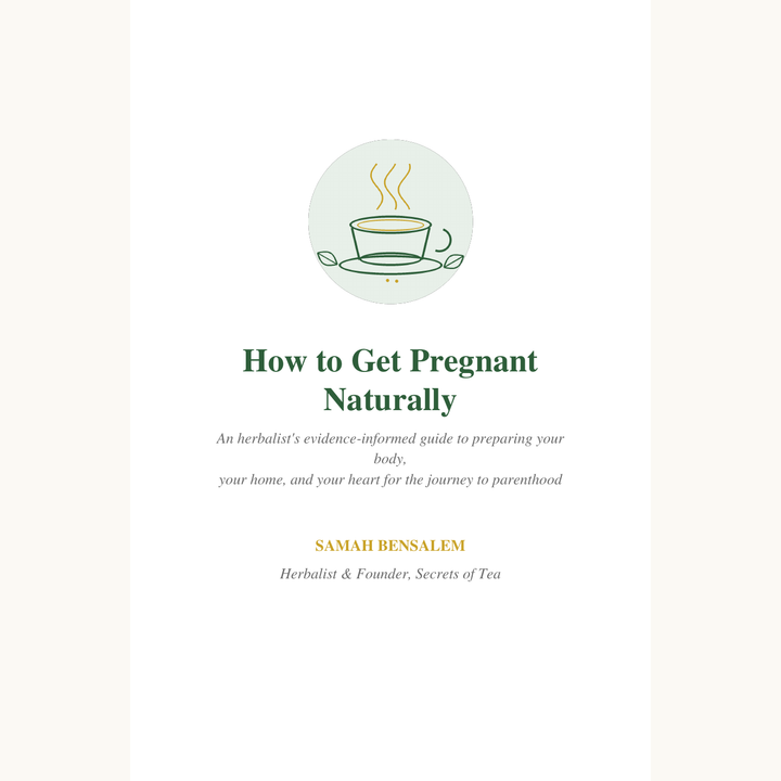 How to Get Pregnant Naturally by Samah Bensalem - 48-page eBook cover